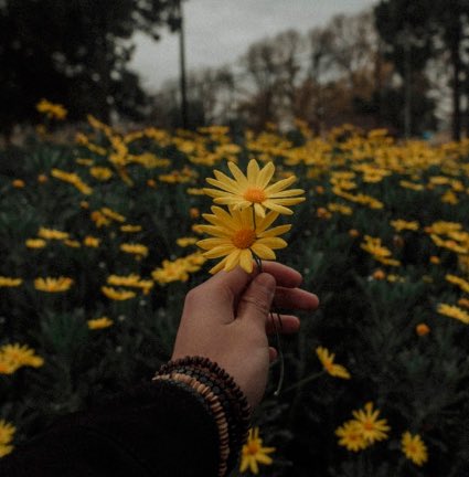 woahhxthreads's tweet photo. —— types of aesthetic🐥 https://t.co/zGogn2B6o2