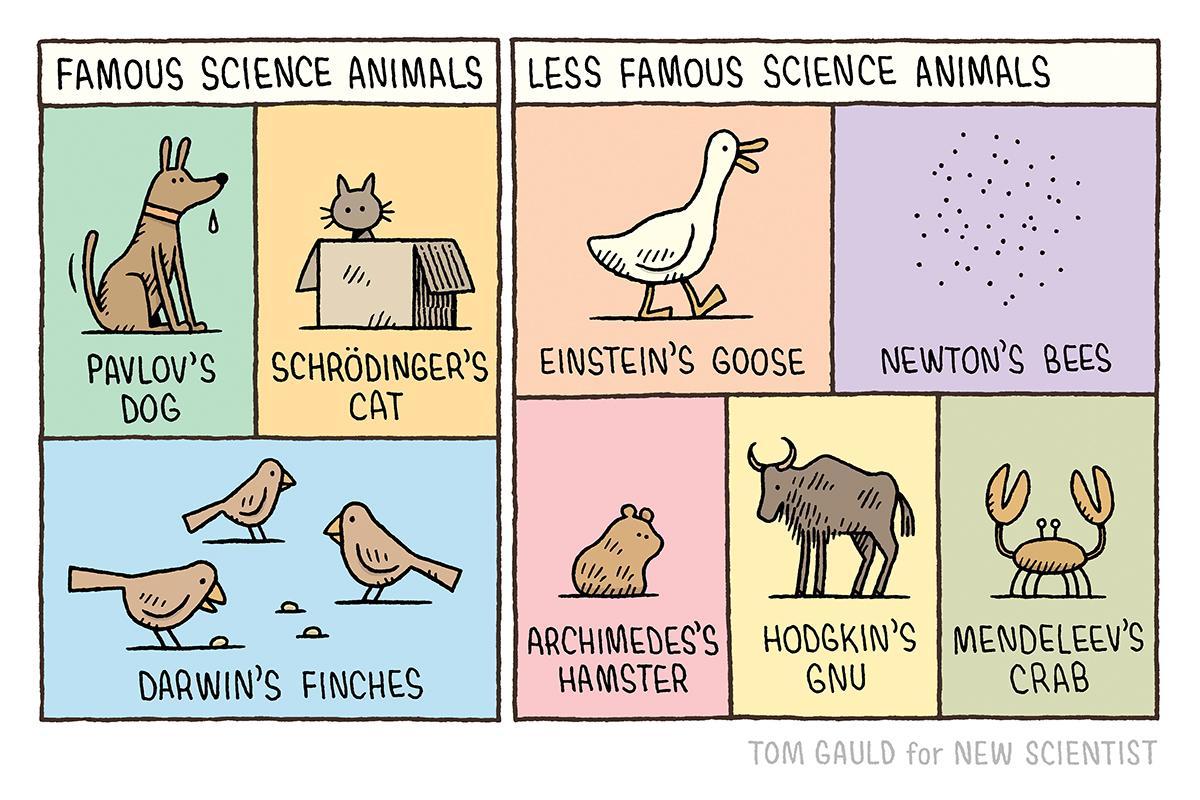 New Scientist On Twitter By tomgauld 