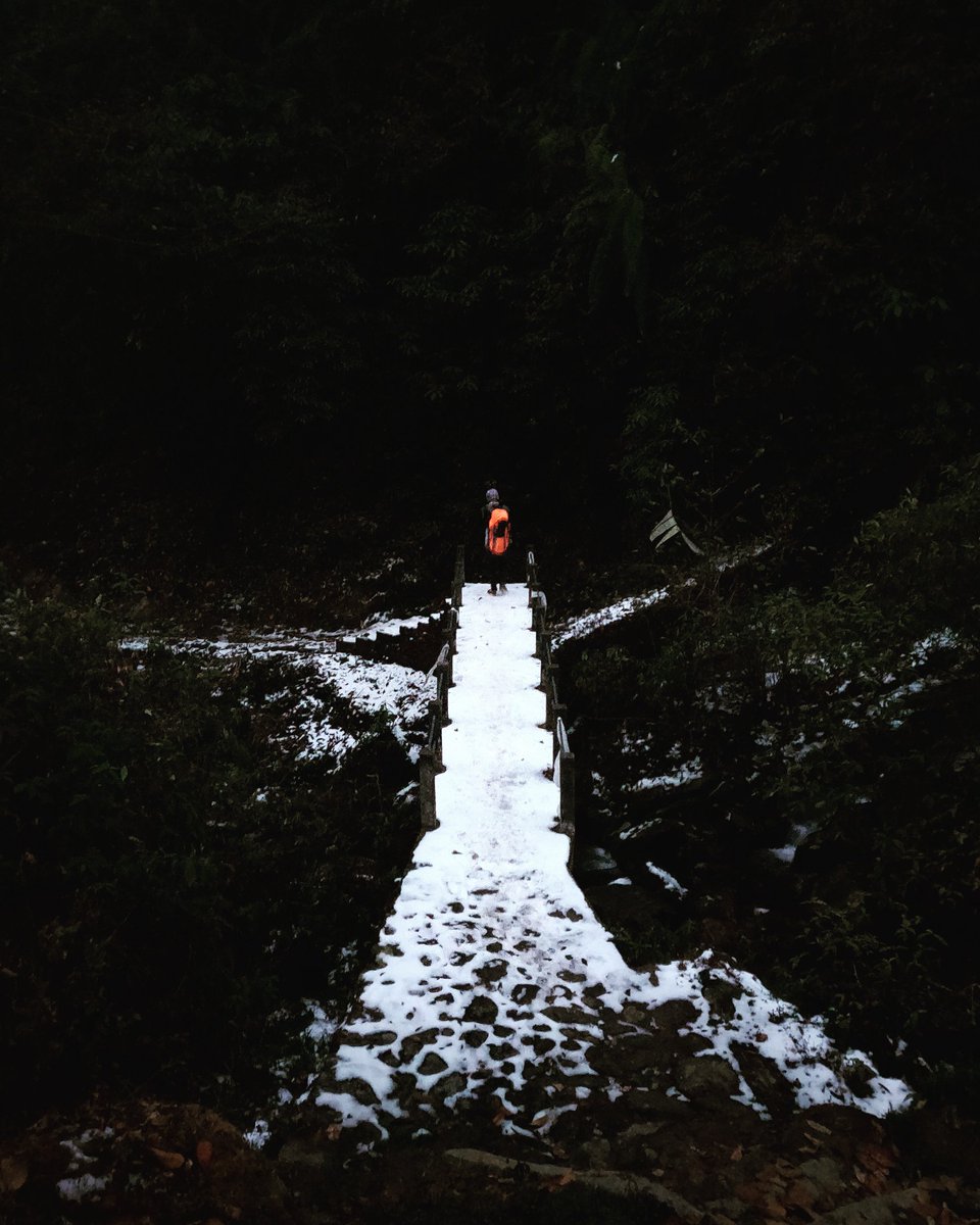 Peaceinhell2's tweet image. Sometime a little bit of snowfall can change the beauty.  
#Himalayan #winter #hike #hikingadventures #nature #travel #Traveller #travelphotography #mountains #India #Wanderlust #WanderlustStories #outdoorlearning #landscape