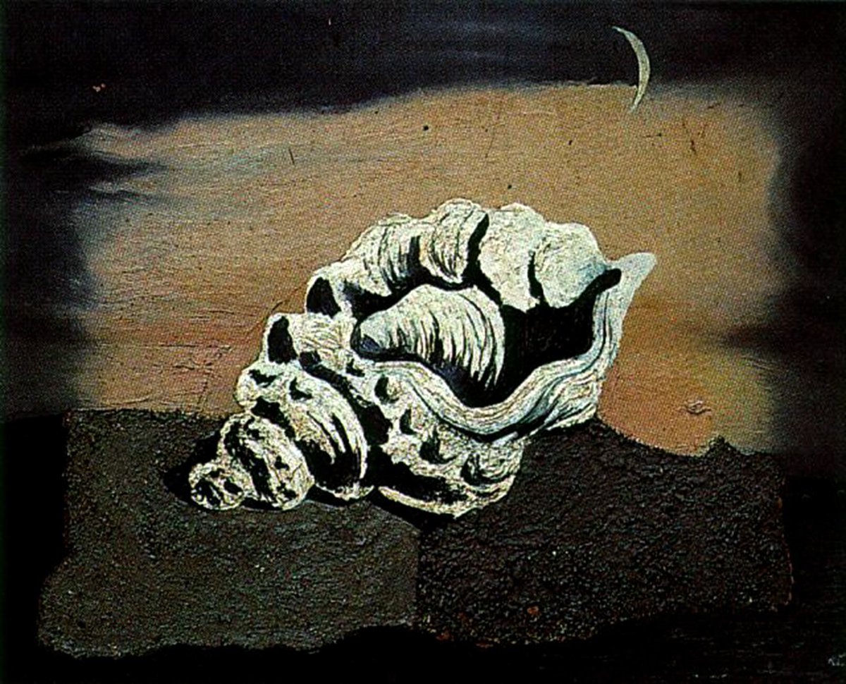 geocappiello's tweet photo. 🎗️🖼️🎨🖌️🐚
On 23rd January 1989 the painter Salvador Dalì died in Figueres 🇪🇸, at the age of 84.
His seashells ...
#january23 #23gennaio #SalvatorDalì #painting #art #artlovers #seashelles #conchiglie #conchas #coquilles #collectionism #コレクション
🎗️🖼️🎨🖌️🐚 https://t.co/5egljJzm0h
