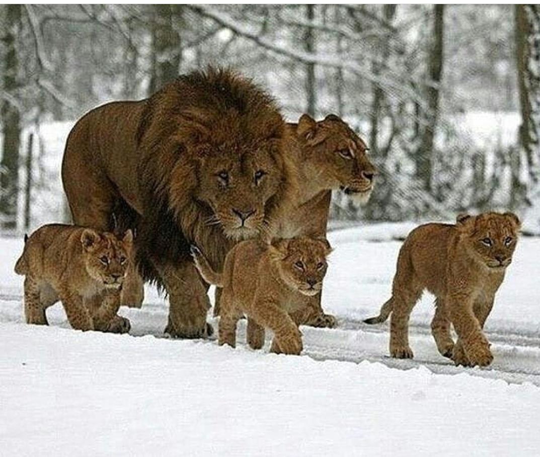 Surround yourself with those on the same mission as you