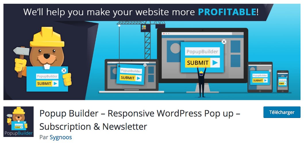 Denis_Allard's tweet photo. Comment créer une popup WordPress efficace ? https://t.co/pWUGC9TpBn https://t.co/O1pBCW4V0f