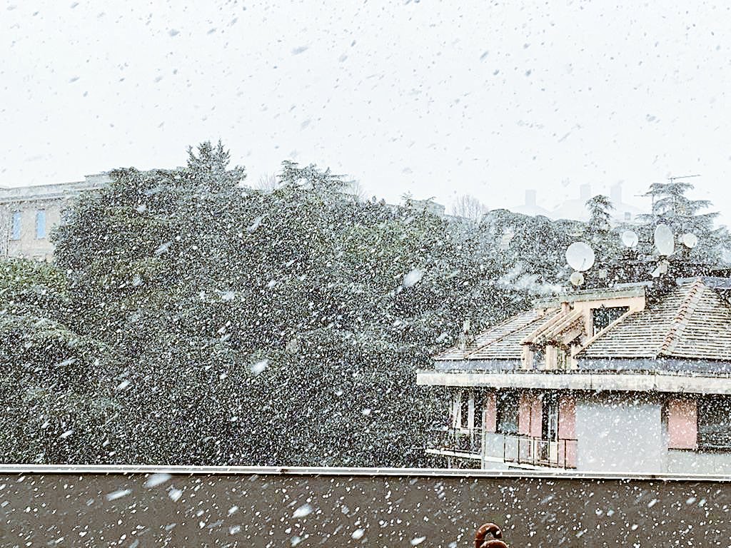 Maltempo, fiocchi di neve in città a Genova, gli aggiornamenti al <a href="/TgrRai/">Tgr Rai</a> Liguria delle 14 su <a href="/RaiTre/">Rai3</a> #AllertaMeteoLIG #gelo allertaliguria.gov.it