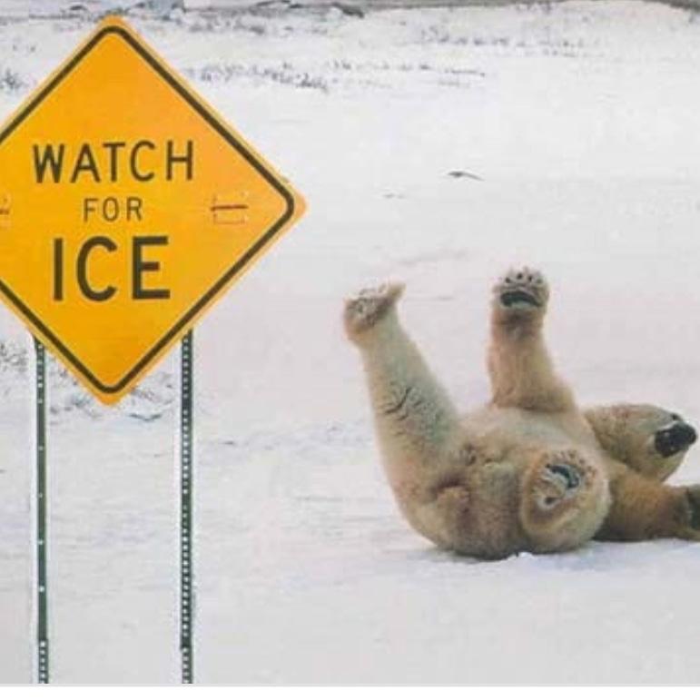 PurdyRIISchools's tweet photo. Hey Eagles! Bundle up, slow down and use extra caution this morning! You may encounter slick spots! #purdypride https://t.co/yP8X8C2tyR