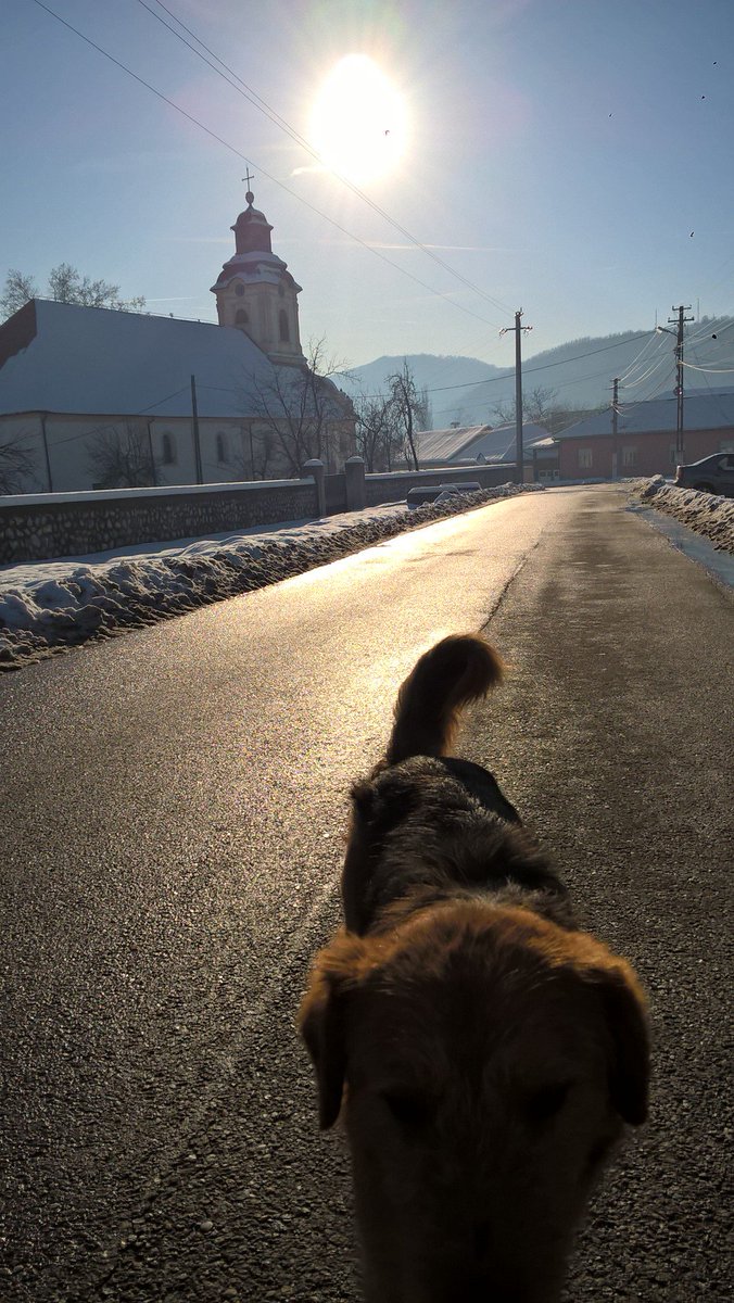 TimisoaraBanat's tweet photo. Wandern im Semenic Gebirge in #Rumänien https://t.co/igAoEaJQvd