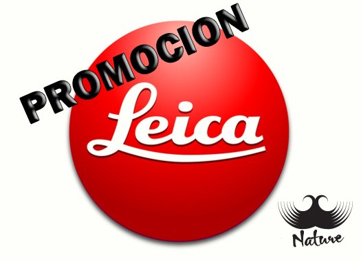 MG_nature's tweet photo. Si quieres un visor, prismático, medidor o telescopio de Leica ahora es el momento.

Gama Magnus, Geovid, LRS, Ultravid y muchas mas a unos precios increíbles.

Visita nuestra web ▶️▶️ https://t.co/80sGZqJJgf

https://t.co/Gz51I0UPBq https://t.co/lpiFDA1HJm