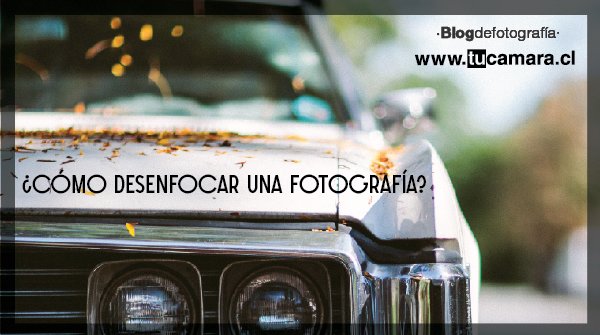 tucamaracl's tweet photo. Hoy  te enseñamos como #desenfocarunafotografía. Lograr ese lindo efecto de desenfoque no esta dificil. Vamos por ese post. https://t.co/7e8WZFWhGU https://t.co/hLNzH3PjLS