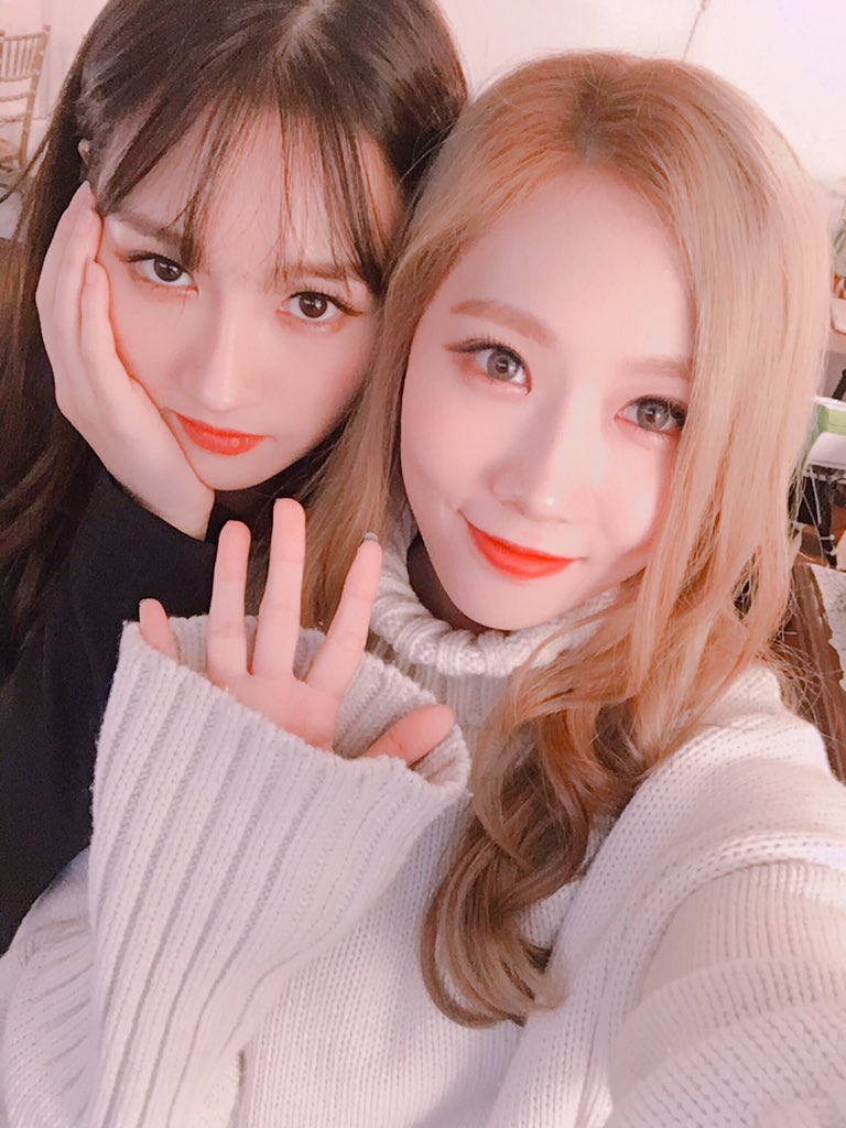 hf_dreamcatcher's tweet photo. [#하드털이] 꿈둥이들 보고 가세요❤️

금발머리 시절 한동도롱동동💕

#드림캐쳐 #Dreamcatcher #한동
#데뷔_2주년_하드털이📷 https://t.co/2gShOSClHx