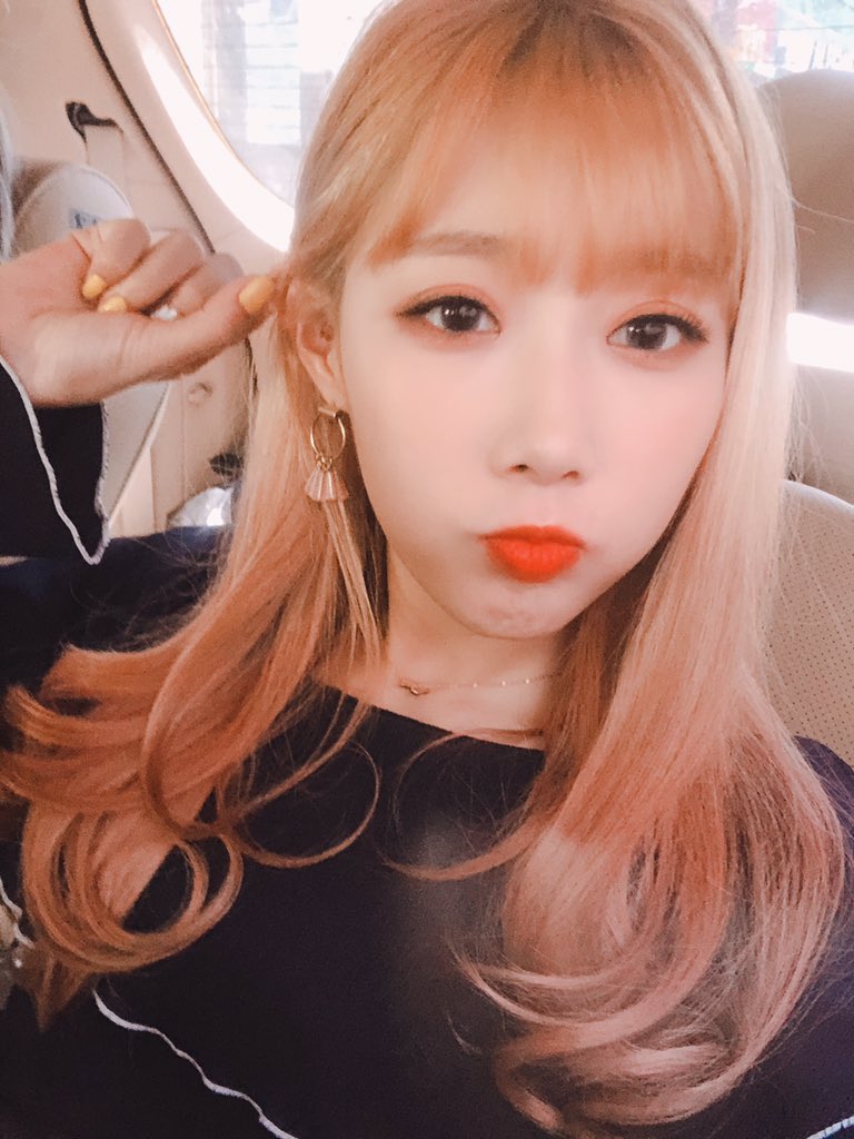 hf_dreamcatcher's tweet photo. [#하드털이] 꿈둥이들 보고 가세요❤️

금발머리 시절 한동도롱동동💕

#드림캐쳐 #Dreamcatcher #한동
#데뷔_2주년_하드털이📷 https://t.co/2gShOSClHx