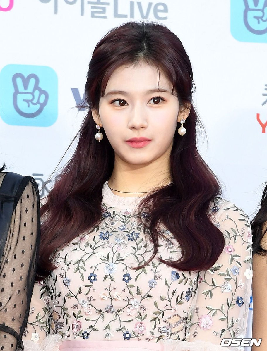 Foymina's tweet photo. #TWICE #트와이스 #SANA #사나
#twiceapparel 
#NeedleThread
Pink Dusk Floral Embroidered Gown
https://t.co/KDw6ZiDfJK https://t.co/8FwBd16xl4