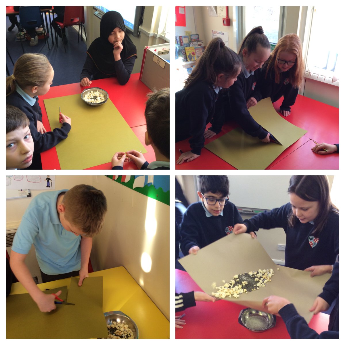 SchoolCrombie's tweet image. P6Y investigating sieving today in Science. Pupils were challenged to separate a mixture of popcorn, salt, lentils and sequins into piles using only one piece of cardboard and a pair of scissors #science #sortingmaterials #sieving #problemsolving #collaboration #workingtogether
