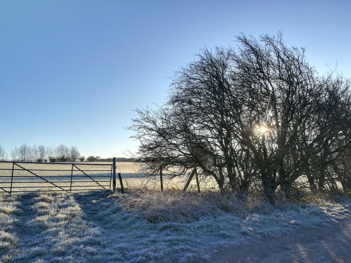 anghenn's tweet photo. -3, blue sky, sunshine and the first hoar frost make for a magical morning run. 23/31 Running Every Day in January @REDJanuaryUK #redjanuary #trailrunning #getoutside #linesway #onmypatch #runningartist https://t.co/Iu4ZN2tZMg