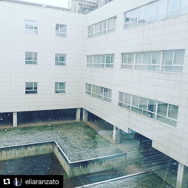 UniAvogadro's tweet photo. Le previsioni di @enricoilbagnino parlavano chiaramente di Piemonte Occidentale, invece nevica anche sul Piemonte Orientale! @radiodeejay come la mettiamo?!
L’angolo nevoso di #Repost @eliaranzato è la prova! ・・・
#neve #uniupo #snow #angoliupo #disit… https://t.co/TxPfVISV2F https://t.co/htHxx1cNdm