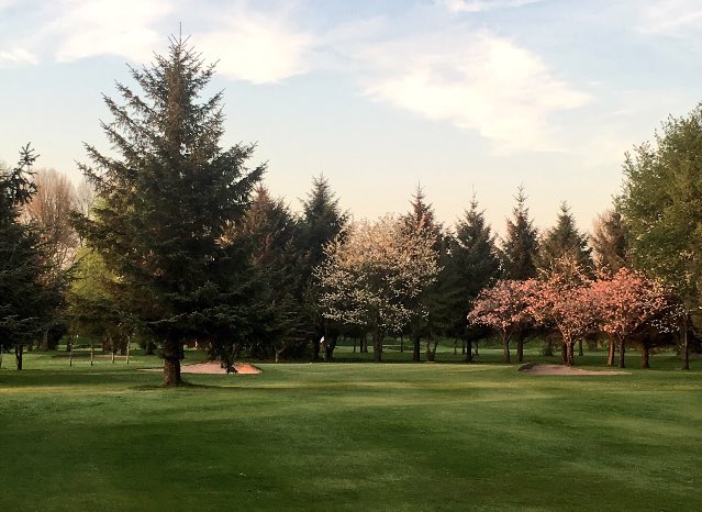 OpengolfcompsC's tweet image. Gents Senior Pairs Open @didsburygc | Monday 1st July 2019 | £25 per pair | 4BBB stableford 55+ #GolfinCheshire #CheshireGolf #OpenGolfComps