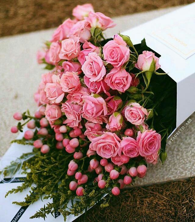 هدوءُ الليلِ يَسكبُ في فؤادي
حنيناً للتذكرِ والودادِ

ويرسمُ طيفَ من سكنوا بقلبي
فأسمعُ همسَهم عَذْباً ينادي