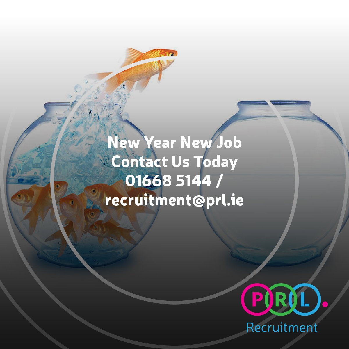 It's not too late...

Is 2019 the year you make a career change?

Visit out jobs board via the link below or call one of our experienced Recruitment Consultants for a confidential conversation on 01668 5144

ow.ly/M5x450kiH9V  

#2019 #NewCareer #PRLRecruitment #Ireland #RT