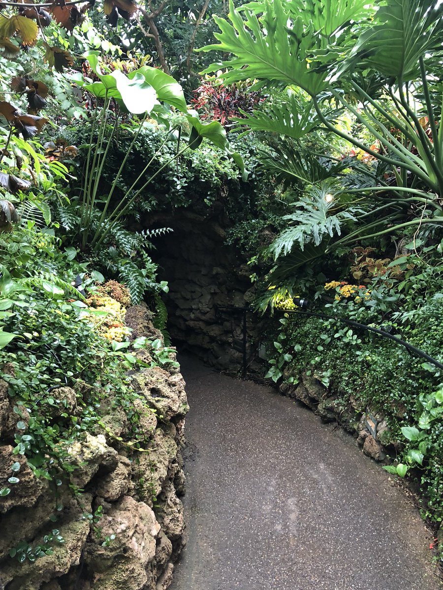 mhsgrowersclub's tweet photo. Cool Plants at @PhippsNews @MontourSD @hilltopspartan https://t.co/5ecdFS0WOZ