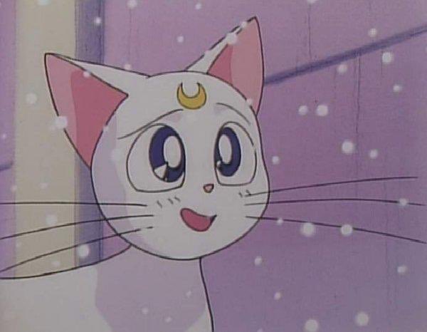 1月23日は高戸靖広の誕生日 1月23日は高戸靖広の誕生日
