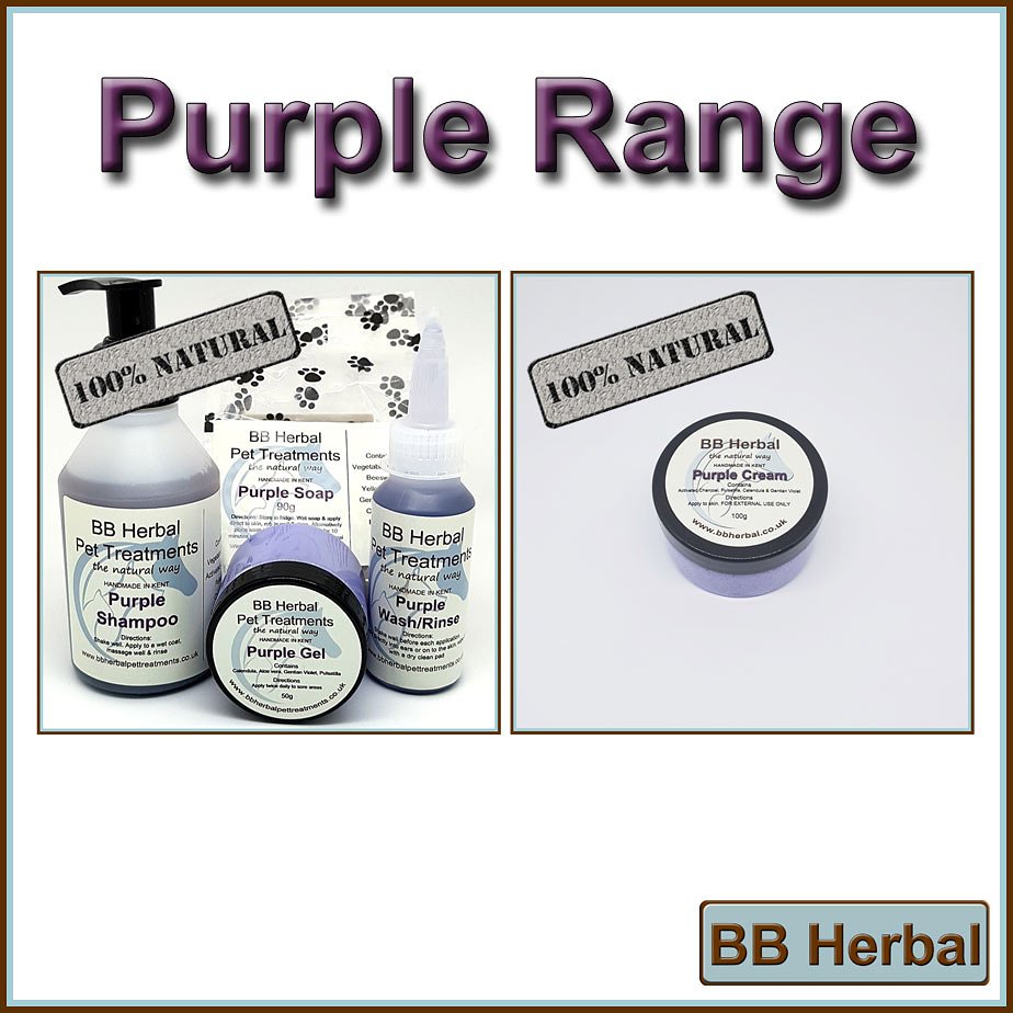 BBHerbalpet's tweet photo. 🌌The Purple Range🌌
Purple Cream now added.
🔸️🔸️🔸️🔸️🔸️🔸️🔸️
❓Have an animal sensitive to❓
✅Honey
✅Coconut
✅Colloidal Silver
✅Aloe vera
#healthypet #naturaldog #naturalcat #healthydog #healthycat
https://t.co/ylRhVH5R5m https://t.co/4UZxxrpmub