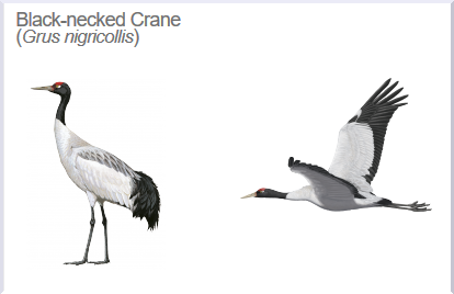 HBW Alive tweet media