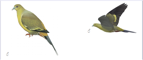 HBW Alive tweet media