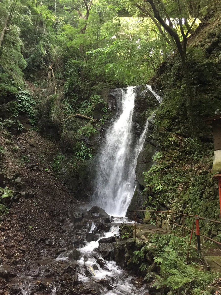 PTSnavis's tweet photo. No.22 炭水化物を取るタイミング、ズバリ運動(トレーニング？)前である

活動しない者は食うべからず！

炭水化物と言っても色々あるが、以前にも書いた通り「白」い物は避ける事が基本
#病気 #健康 #血圧 #血糖値 #筋肉 #トレーニング #ジム #お酒 #食事 #空腹  #ミトコンドリア #美容 #ダイエット https://t.co/J1JygtbUVD