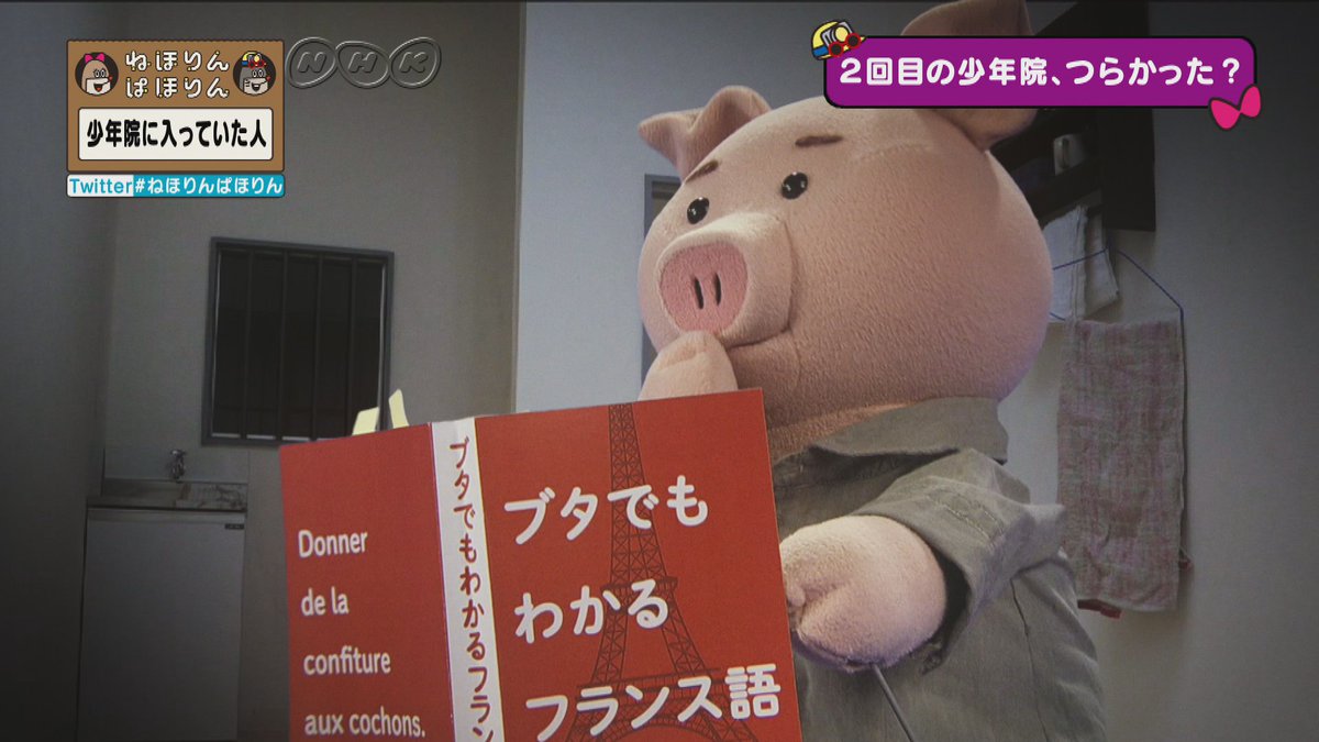 Nhk ねほりんぱほりん 少年院に入っていた人 シュウジさん 開き直ってしまってキャリアアップみたいな形で少年院で不良のレベルを上げるためにいっぱい本を読んだり体鍛えるために筋トレしたり 腕力も必要ですけど頭もよくないといけないと毎日一生懸命 Nhk ねほりんぱほりん 少年院に入っていた人 シュウジさん 開き直ってしまってキャリアアップみたいな形で少年院で不良のレベルを上げるためにいっぱい本を読んだり体鍛えるために筋トレしたり 腕力も必要ですけど頭もよくないといけないと毎日一生懸命