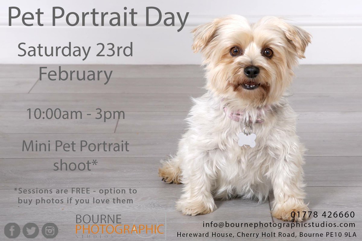 🐶 Doggy Day is Back! 🐶
On Saturday the 23th February we are holding our first doggy day of the year!
Book your 15 minute slot to avoid disappointment 📸