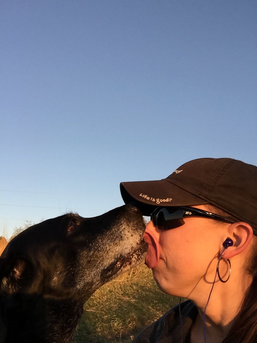 Mandolinv tweet media