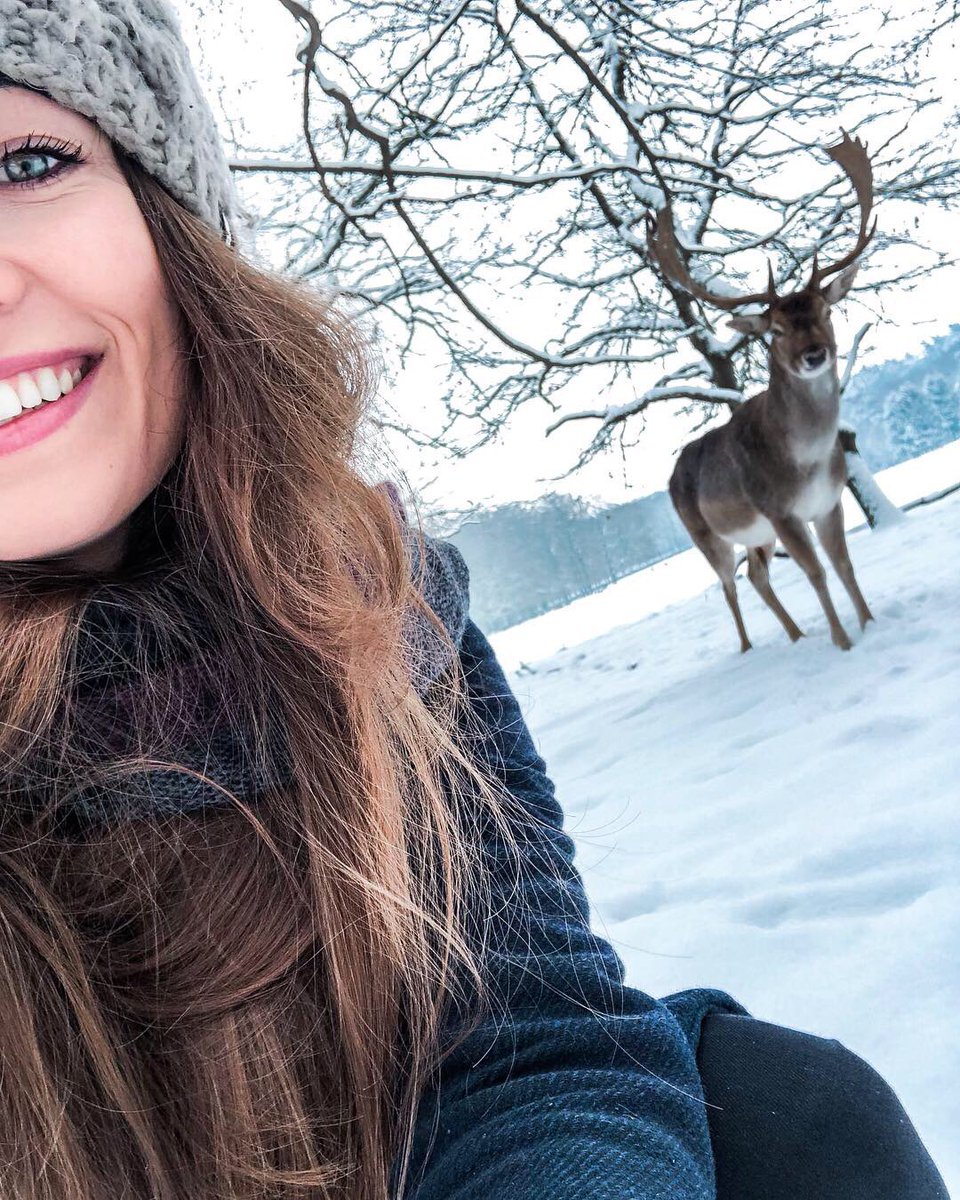 AnoukBroer's tweet photo. Ik was net in het bos en kwam een leuk beestje tegen. IS TOCH NIET NORMAAL 😱😍😍😍 https://t.co/AQuRSdPQuF
