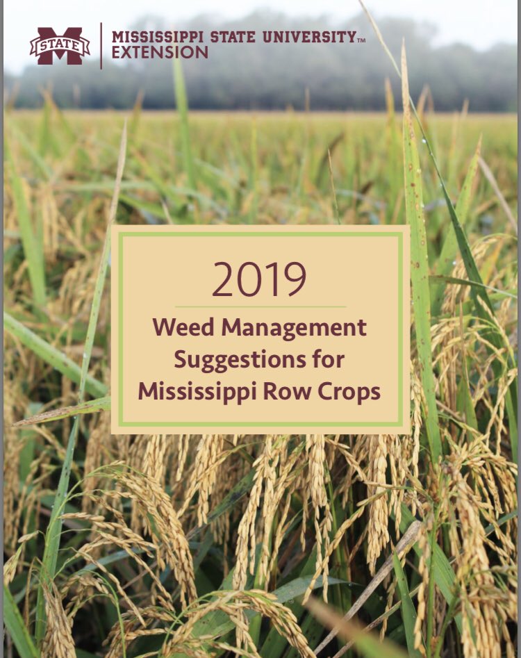 Jason Bond tweet media