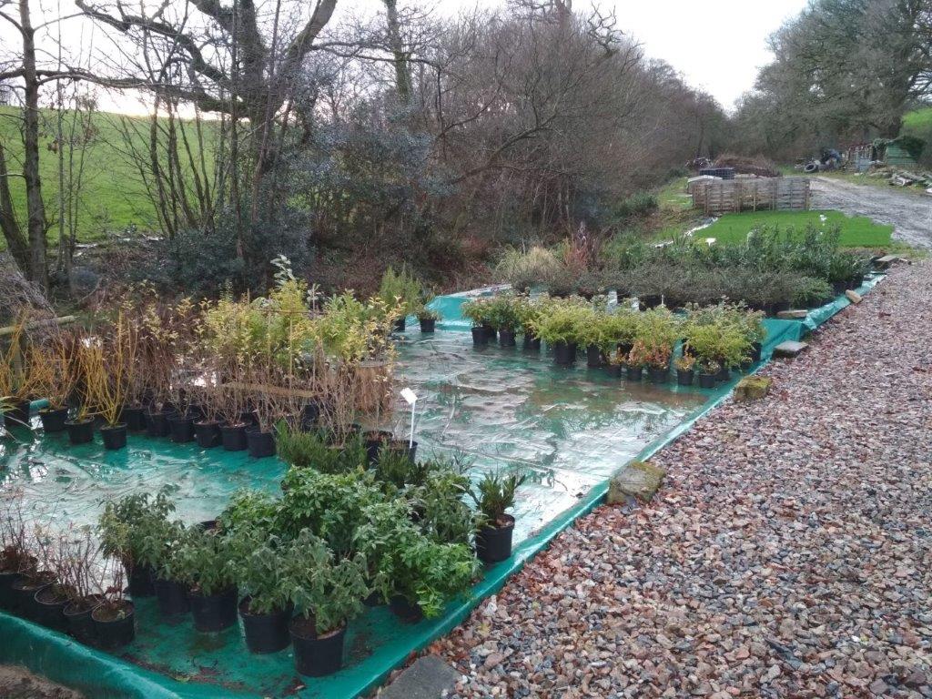 Tony Benger Landscaping tweet media