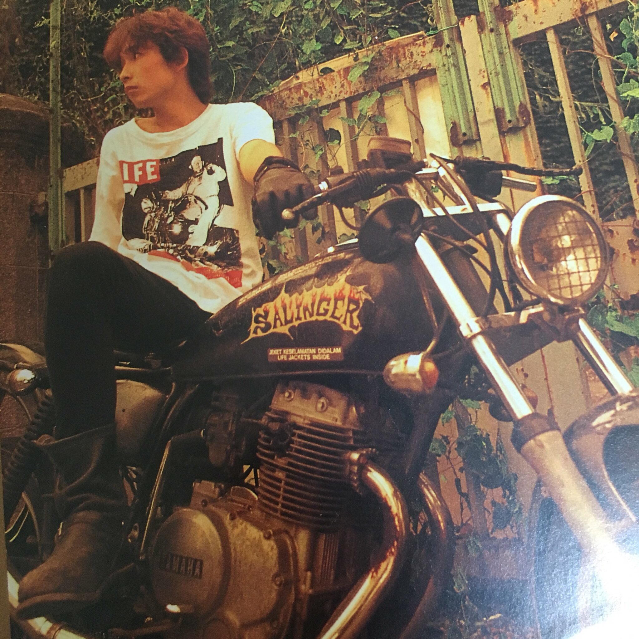 NEW WINTER GOODS！ 〜 浅井健一|SEXY STONES RECORDS