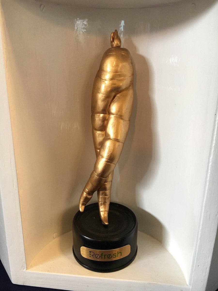 A great buzz around the many exciting projects here, including electric bikes, electricity generation by bicycle &amp; a diet of bugs!