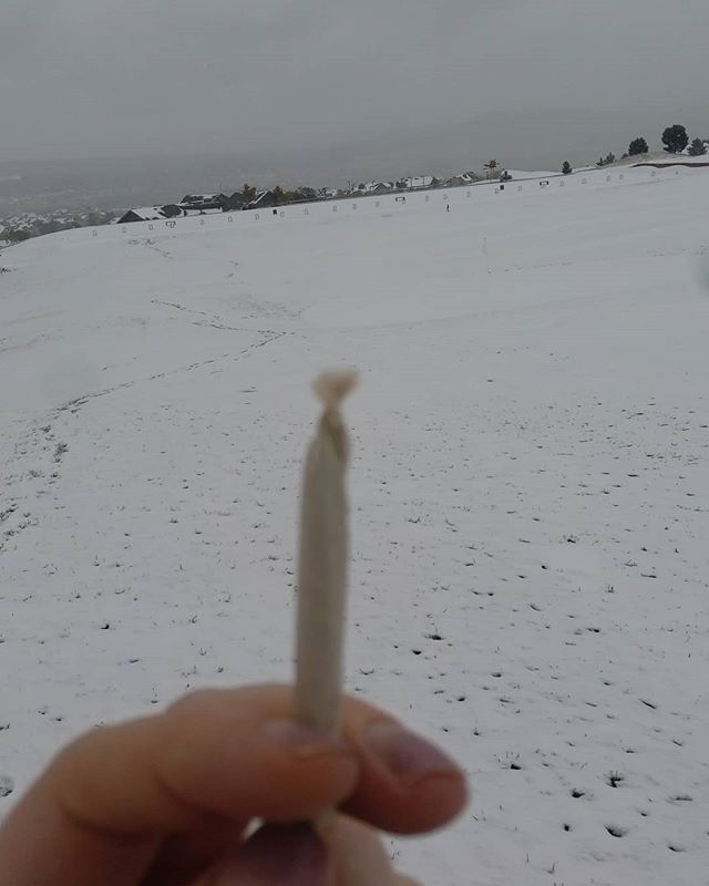 jointsandjoints's tweet photo. It's a cold cold day but imma go warmup in front of this view

#queenofweed #weed #weedporn #joints #highlife #nug #nuglife #joint #cannabis #cannabiscommunity #marijuana #ganja #weedstagram #thc #maryjane #clipper #weedstagram420 #weedsociety #highsocie… https://t.co/5j0DTWuUBU https://t.co/fiKLHiXSc0