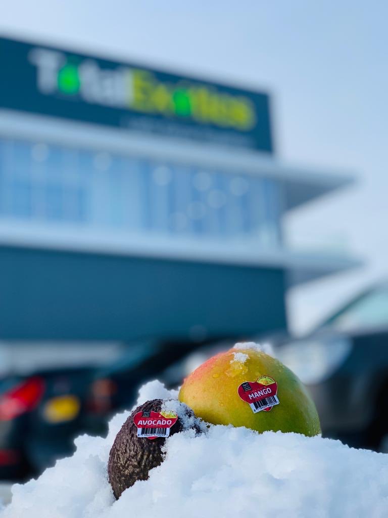 Valentine is coming🥰.
For this special occasion we have designed Valentine stickers for our beloved mango’s &amp; avocado’s. 😍Interested? Drop us a message!
#valentine #mango #avocado #love #loveit #valentinesday #readytoeat #letsgrowtogether #totalexotics