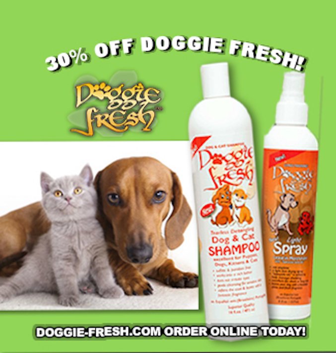 infodoggiefresh's tweet photo. Hot Dog! Free shampoo with purchase! Shop online@ https://t.co/ojMZmsJf1e https://t.co/OAmkLa32a6