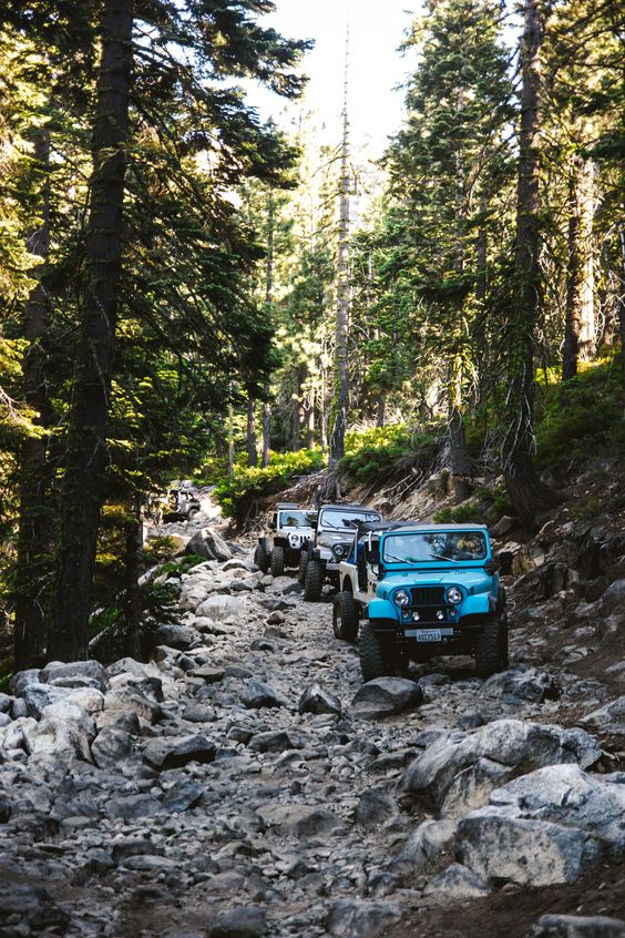 JordynMullen's tweet photo. Nothing better than hitting the road with the top off and the wind in your hair.
#jeeplife @The_Frap_House https://t.co/7kQPKN82ev