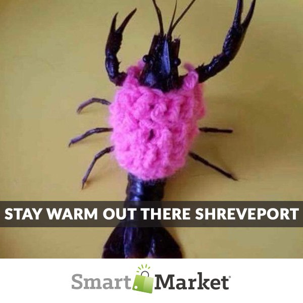 SmartDotMarket's tweet photo. Bundle up out there yall! Time to cuddle up with a book, blanket and a good movie.  #Shreveport https://t.co/uJtgPzt1M7