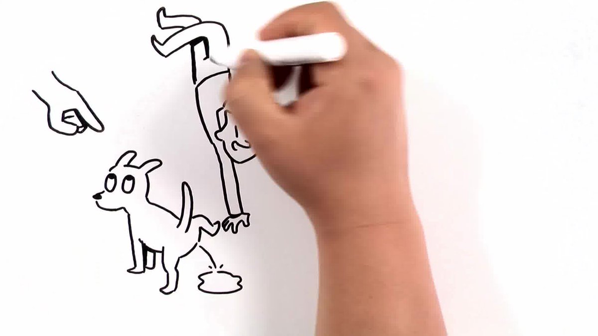 Best Carpet Warehouse (BestWarehouse) Twitter