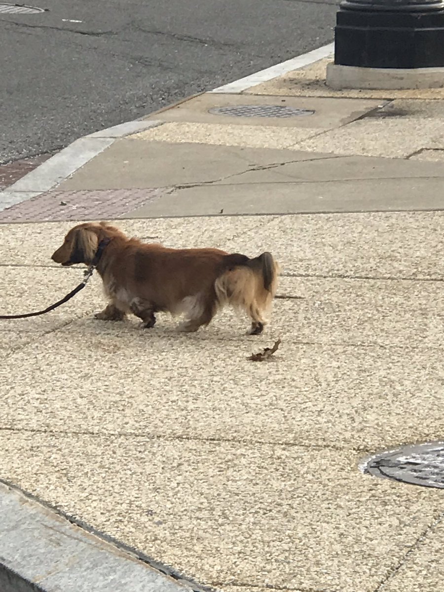 victakacs's tweet image. @StPiusX @CloseUp_DC @uscapitol @USSenatePhoto @USSenate @USHouseNews @USHouseofReps @JacksonLeeTX18 @tedcruz @JohnCornyn Sites on Capitol Hill #PanthersInDC