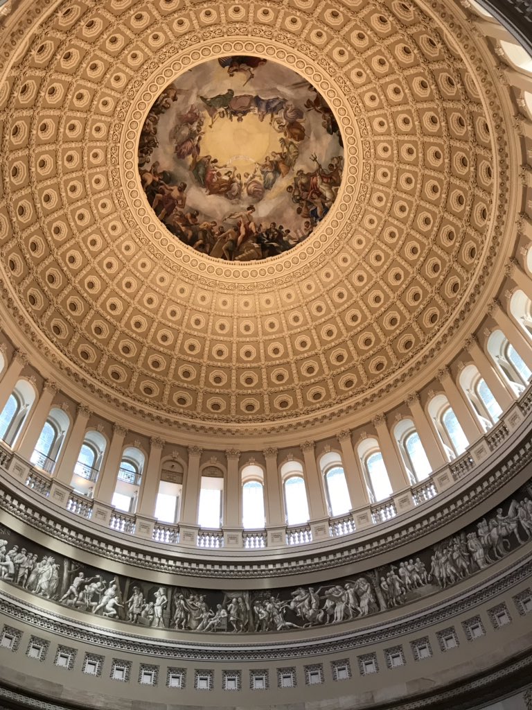 victakacs's tweet image. @StPiusX @CloseUp_DC @uscapitol @USSenatePhoto @USSenate @USHouseNews @USHouseofReps @JacksonLeeTX18 @tedcruz @JohnCornyn Sites on Capitol Hill #PanthersInDC
