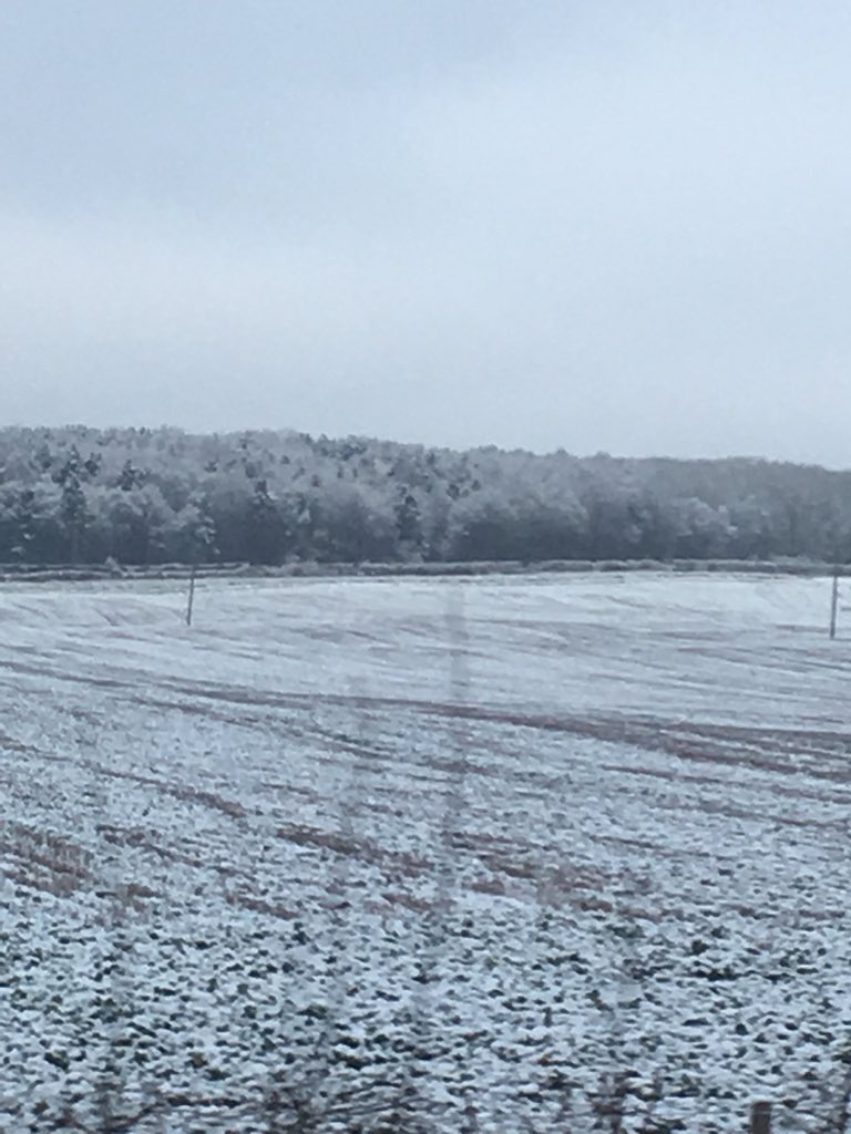 danielriggans's tweet image. Can’t believe it’s snowing in the UK