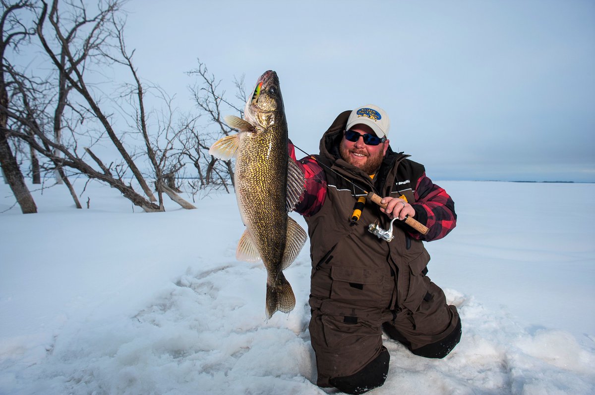 NorthDakota's tweet image. Five reasons why one fisherman says Devils Lake stays true to it's name as the "Perch Capital of the World" through all four seasons. #BeNDLegendary #DevilsLakeND @OutdoorsND @devilslakend ow.ly/y69q30nquYu
