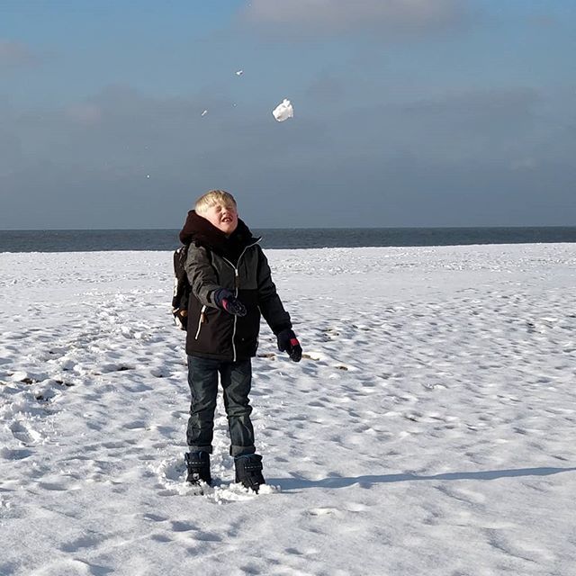 willemsson's tweet photo. Life's a (snowy) beach! https://t.co/pzaHuP1UaP https://t.co/ow9jwYgyrp
