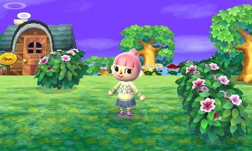 corners_pop's tweet photo. Salut les Pop Corners 😁
Je crois que cette femme à plus jouer à animal crossing que moi avec tous mes jeux 😂🎮
https://t.co/vbHEuqyNBK
#gamers #AnimalCrossing #BigGame https://t.co/okvuRbRKNp