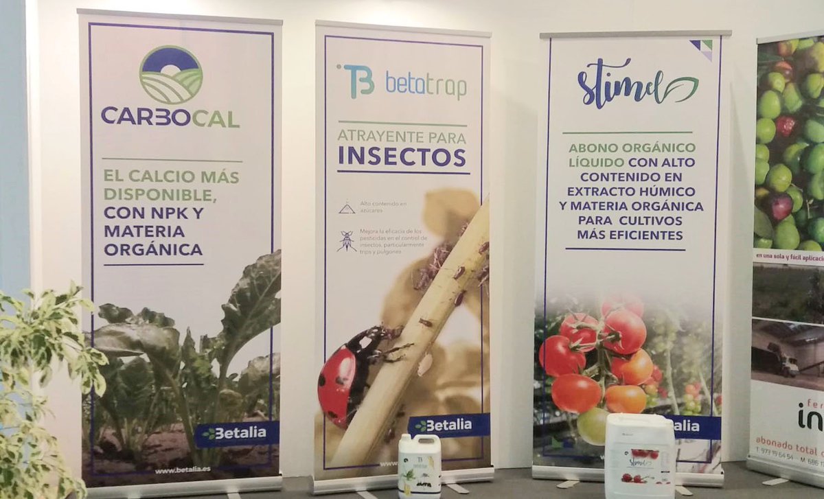 BetaliaES's tweet photo. ¡Ya estamos en #Agroexpo2019!👀🚜Os esperamos en el stand de #Cahersa con muchas ganas de veros 🤗🤗🤗
📍@agroexpofeval @FEVAL_ @Ayto_DonBenito
#Betalia #BetaliaAgro
📆 Hasta el 26 de enero https://t.co/lIT14Hvbaf