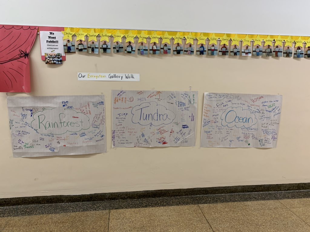 mphelan623's tweet photo. An Ecosystem Gallery Walk- they were really showing what they know! @WHGWashington @WhufsdRams @WH_ENL @dmammolito https://t.co/PsnPT29nu6