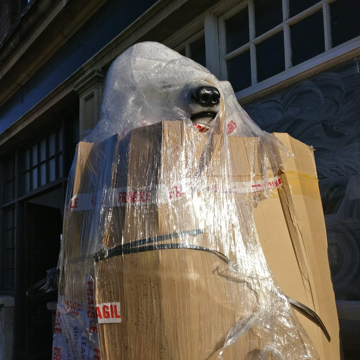 Our new rep for <a href="/PolarBearHull/">The Polar Bear</a> shows has arrived.