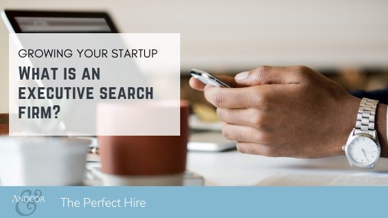 Andcor's tweet image. An executive search firm is a close partner in your #recruitment process, and so much more. #ExecutiveSearchFirm #HiringExecutives hubs.ly/H0fGf1_0